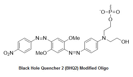 Bio-Synthesis Inc. Oligo Structure